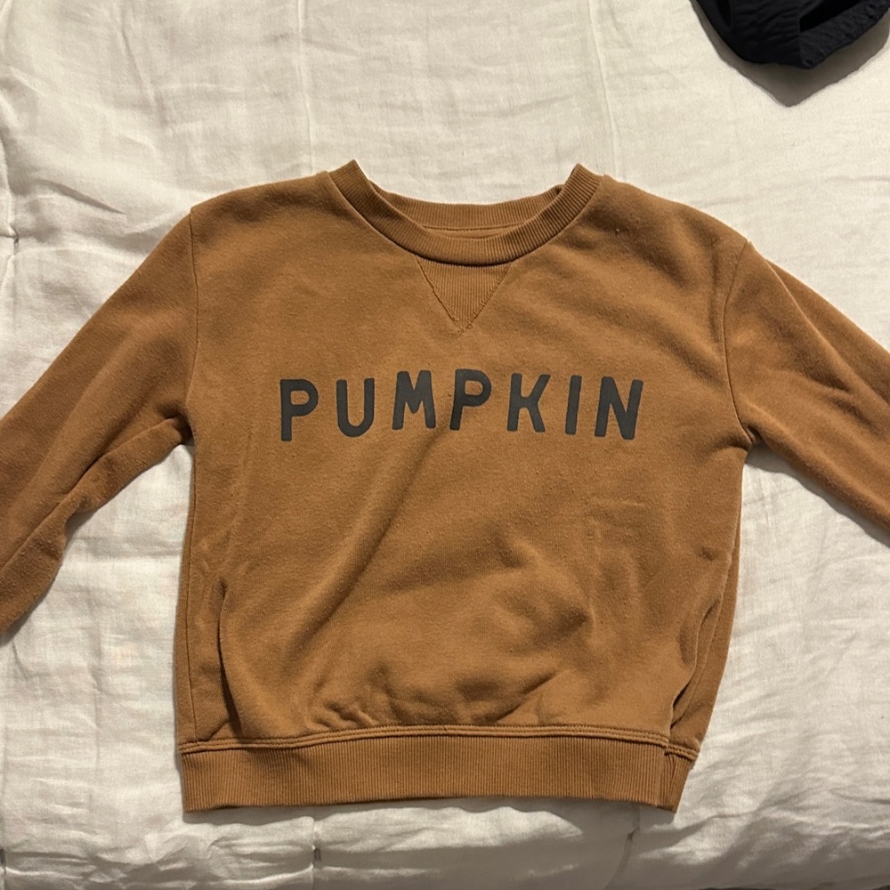 Pumpkin Kids Brown Sweatshirt
